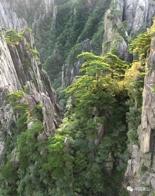 3.6除以九分之二十？游戏画面